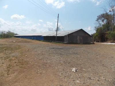 23858 - Ciudad de Panamá - farms