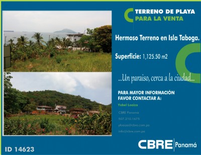 24788 - Taboga - properties