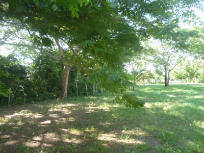 25710 - El valle de anton - lots