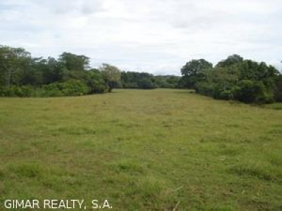 2679 - Coronado - lots
