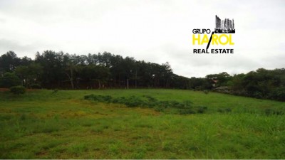 27087 - Brisas del golf - lots