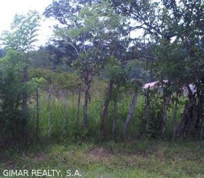 2716 - Brisas del golf - lots