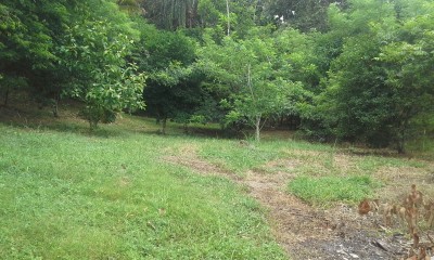 28519 - La Chorrera - lots