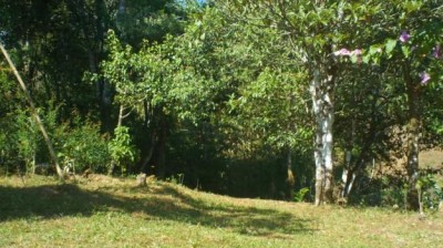 30179 - Boquete - fincas