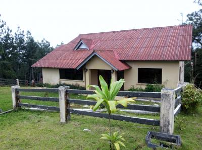 30517 - 24 de diciembre - casas - altos de cerro azul