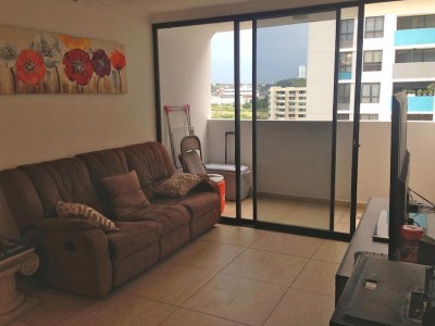 31986 - Condado del rey - apartamentos - terrazas del rey