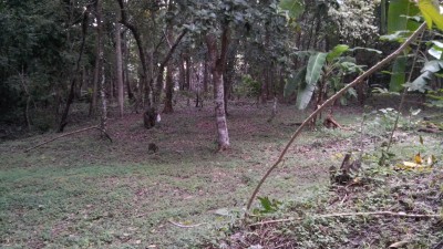 32543 - El valle de anton - lots