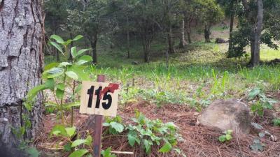 32760 - Altos del maria - lotes