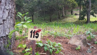 33056 - Altos del maria - lotes