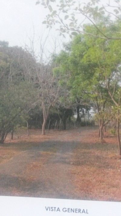 33276 - El roble - farms