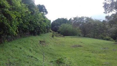 33779 - San Miguelito - lots