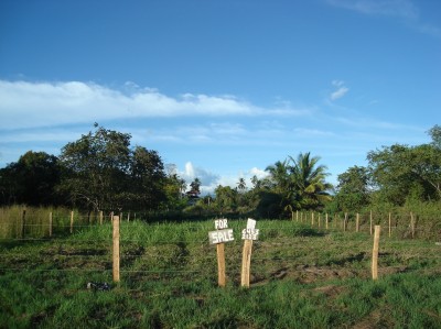 35335 - San Félix - lotes