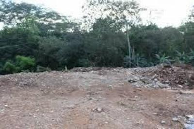 35376 - Carrasquilla - lots