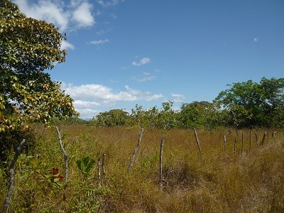 36531 - Calobre - propiedades