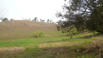 37043 - Renacimiento - farms