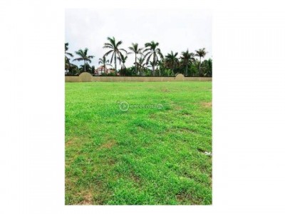 43590 - Costa del este - lots - balmoral