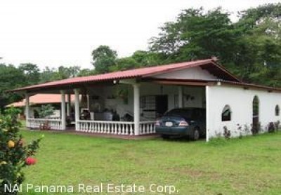 4391 - Nuevo emperador - properties