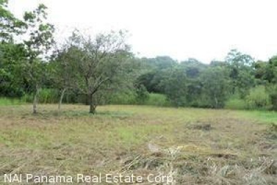 4431 - San carlos - lots