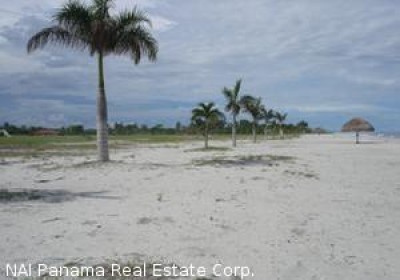 4446 - Punta chame - lots