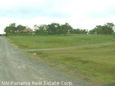 4447 - Coronado - lots