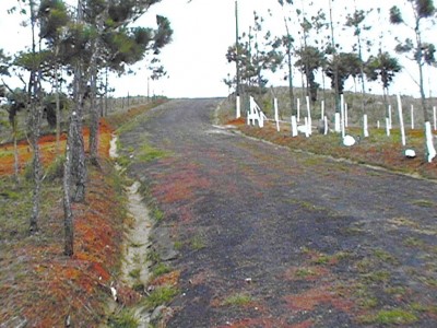 449 - 24 de diciembre - lotes - altos de cerro azul