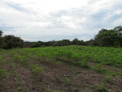 45181 - Provincia de Panamá - lots