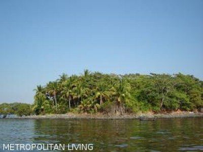 4696 - Isla Contadora - lotes