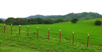 490 - Guararé - farms