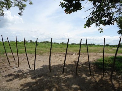 52976 - Antón - lots