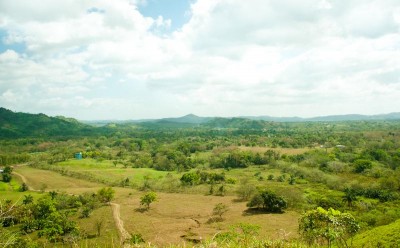 53730 - Chagres - farms