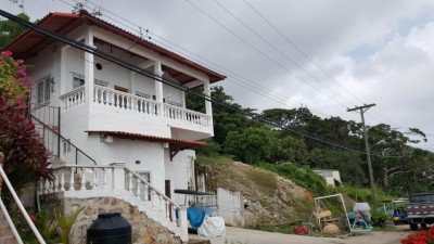 54559 - Taboga - casas