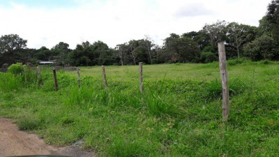 59299 - La Chorrera - lotes