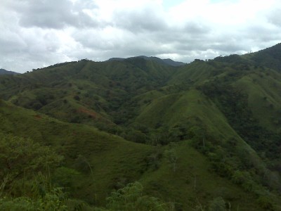 613 - Guararé - farms