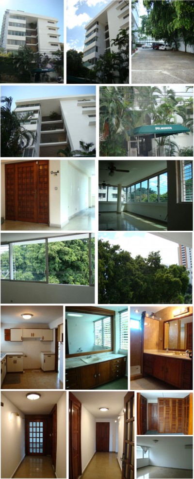 620 - Ciudad de Panamá - apartamentos - ph delmonico