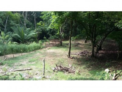 62356 - Las cumbres - lots