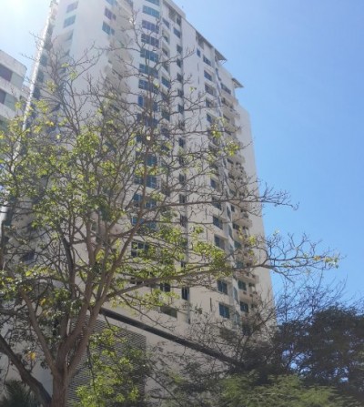 63734 - Punta paitilla - apartamentos - torre del parque