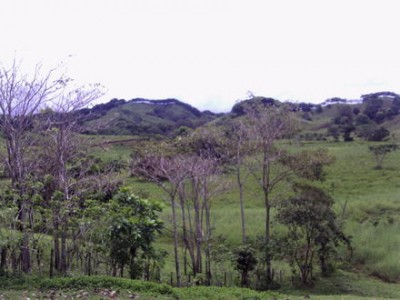 6480 - Isla grande - fincas