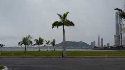 66462 - Punta pacifica - lotes