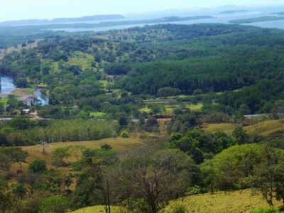 68591 - Remedios - propiedades