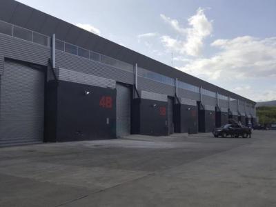 71788 - Tocumen - warehouses - tocumen warehouse park