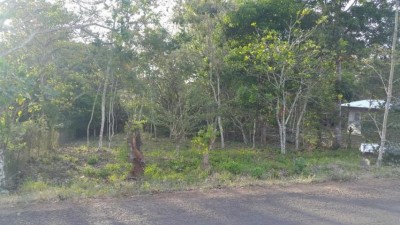 72762 - La Chorrera - lots