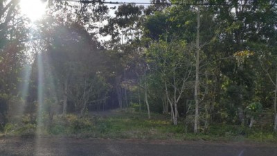 72946 - La Chorrera - lotes