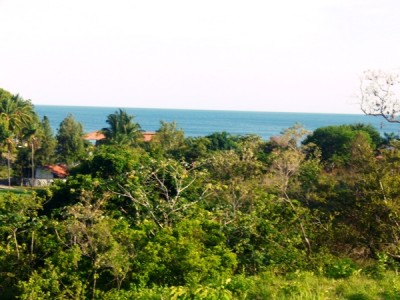 73569 - Nueva gorgona - lots