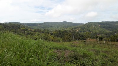 74896 - Cerro azul - lotes - altos de cerro azul