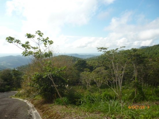 Excellent price and financing available! Lot with superb view in Altos...