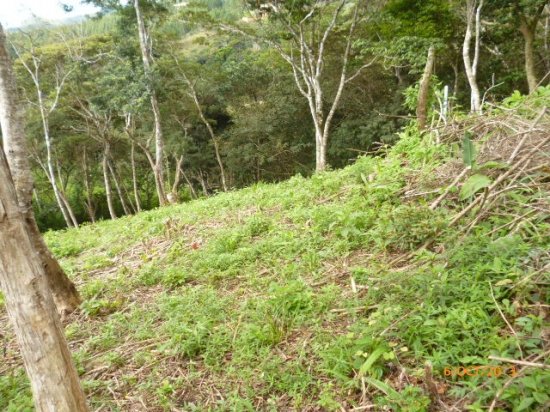 Excellent price and financing available! Lot with superb view in Altos...