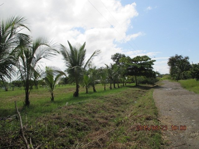 Lote de construcci