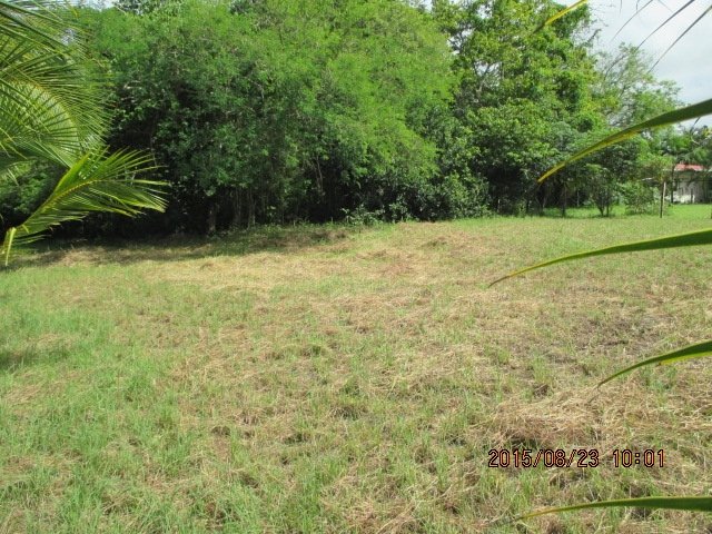 Lote de construcci