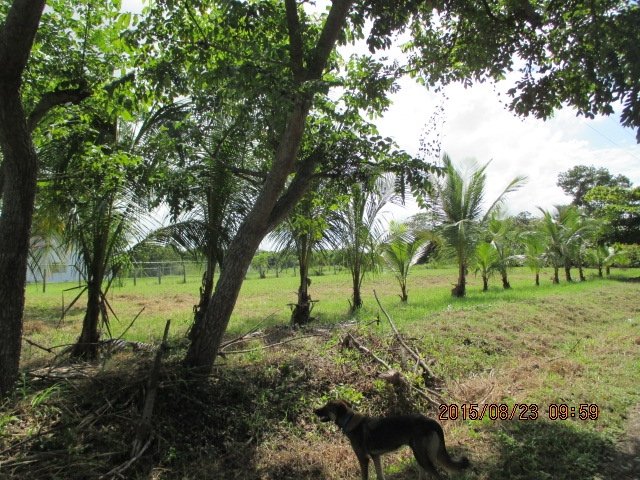 Building lot just 2 blocks from the beach in las Lajas, Chiriqui - Very motivated seller!