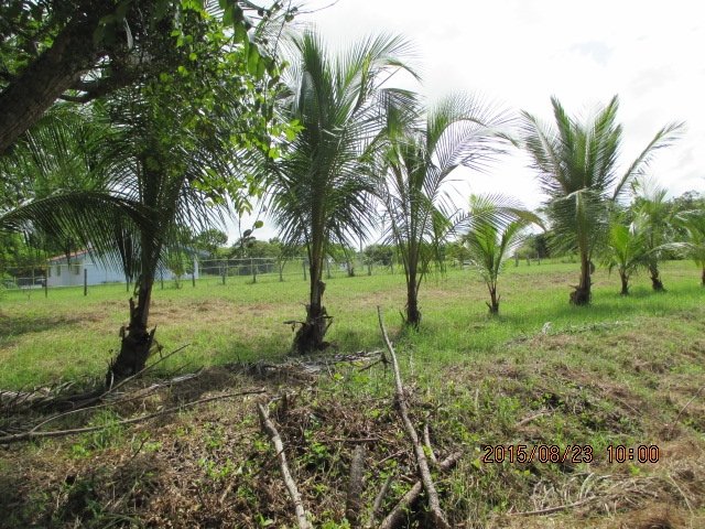 Building lot just 2 blocks from the beach in las Lajas, Chiriqui - Very motivated seller!